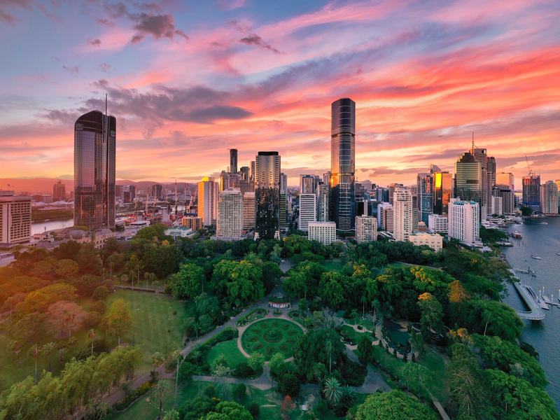 Brisbane City Botanic Gardens, home to some very patient long-term planners (the trees)